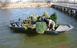 Christmas Tree Drive 2