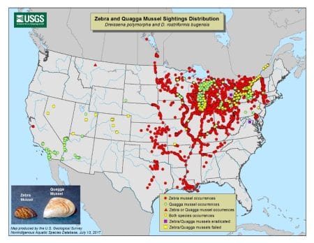 USGS_Zebra Mussel