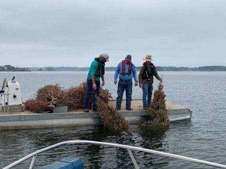 SJRA staff deploys trees in Lake Conroe